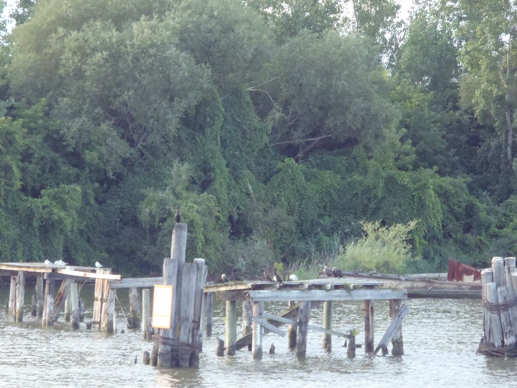 Weathered Dock on the Saginaw River, Bay City, Michigan