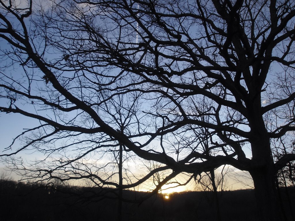 Sunset in Barton Park (winter)