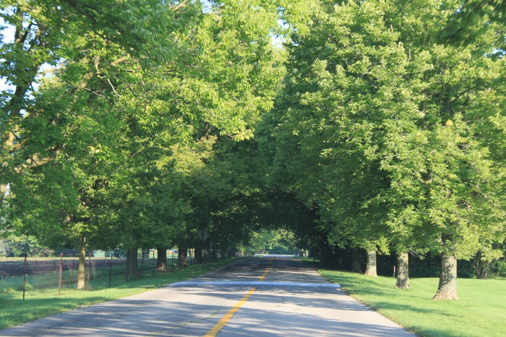 Barton Shore Drive, Barton Hills, Michigan