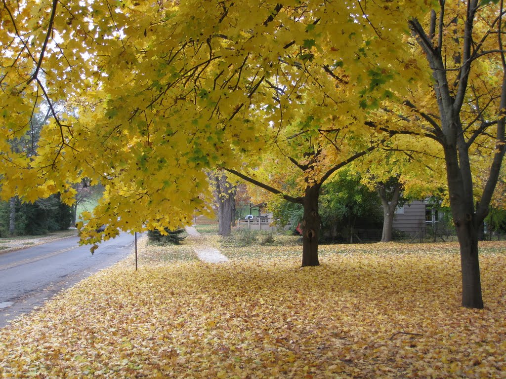 Yellow sidewalk