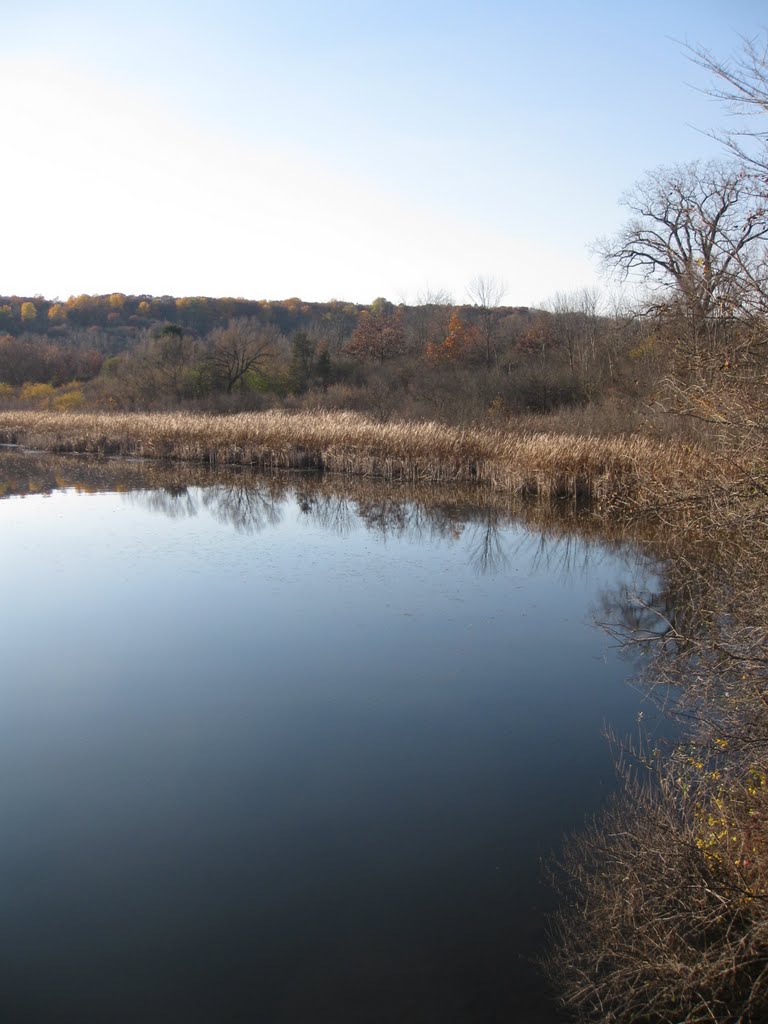 Mirror of Huron River