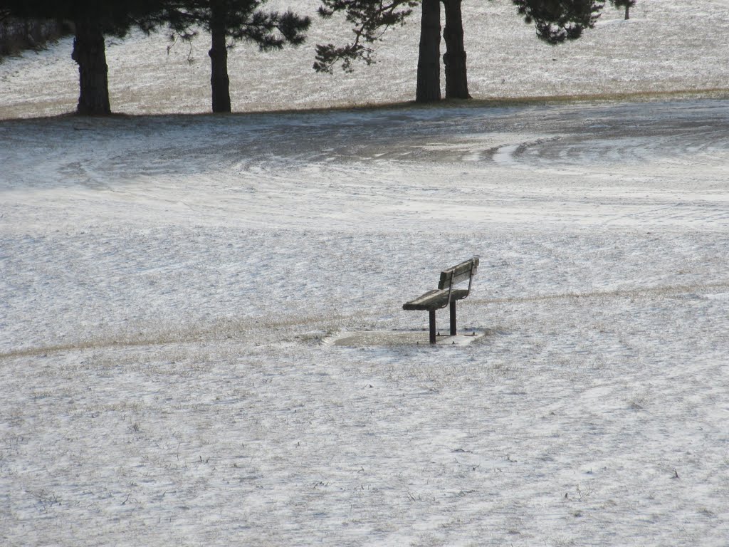 Lonely bench