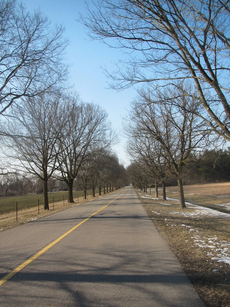 Straight Barton Shore Dr.