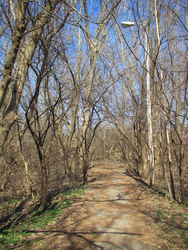 Hilldale Rd trail