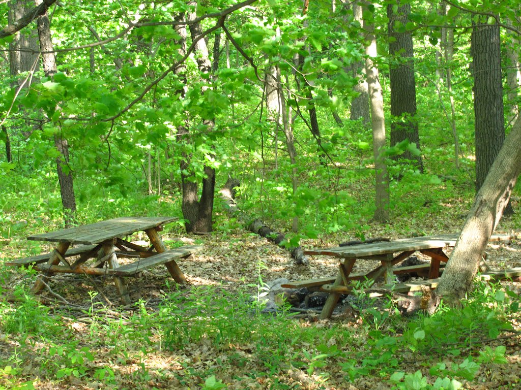 Picnic tables in Camp Hilltop Park