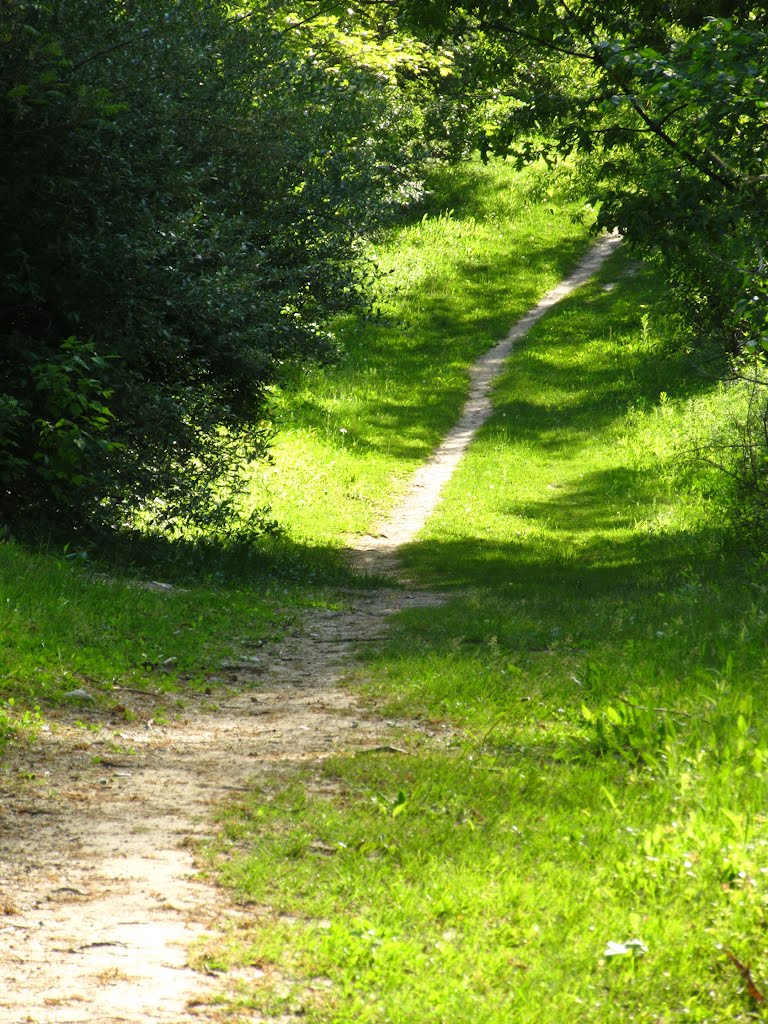 Kuebler Langford Trail, Ann Arbor, Michigan