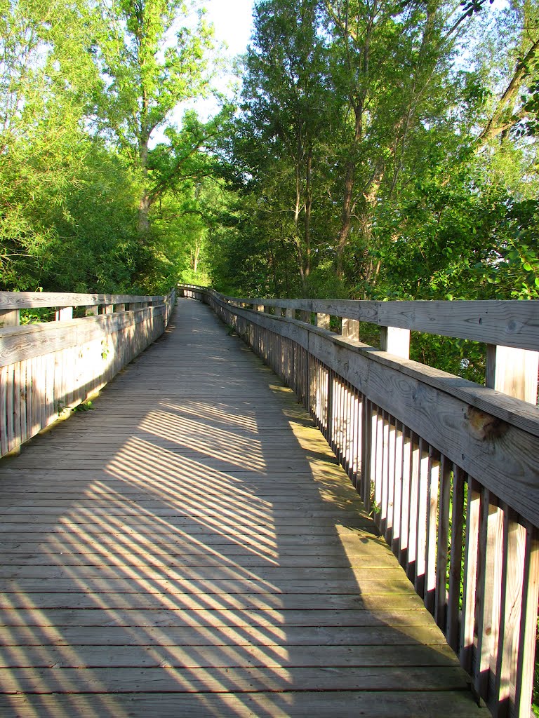 Boardwalk in Argo Nature Area