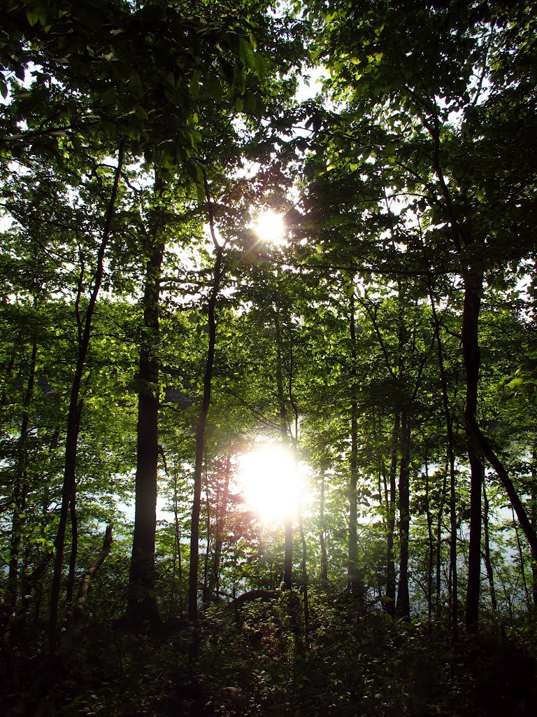 Sun reflection on Argo Pond water (Argo Nature Area)