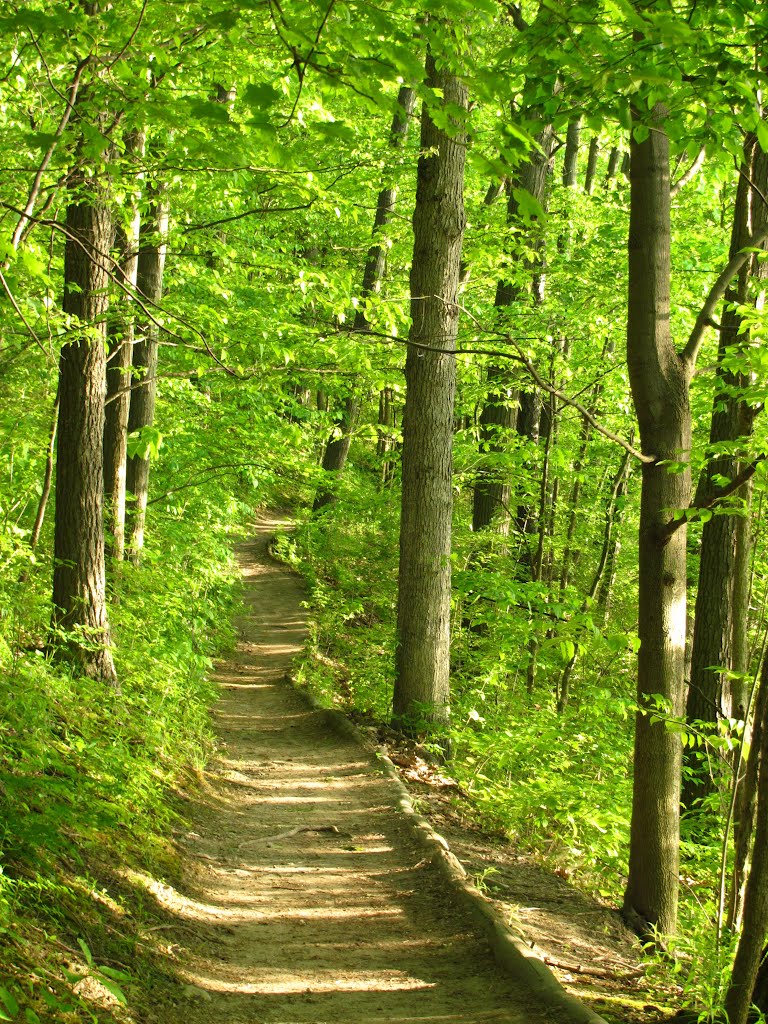 Trail in Argo Nature Area, Ann Arbor, Michigan