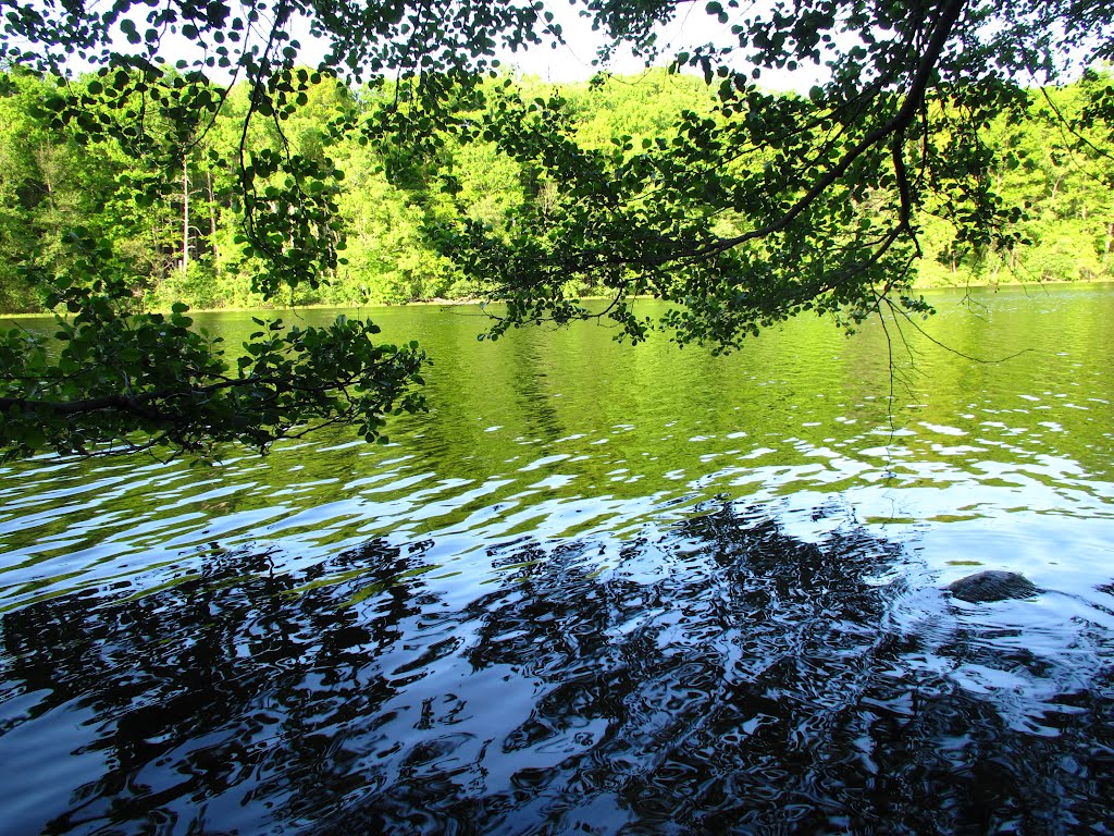Color of Argo Pond (Bandemer Park, Ann Arbor, MI)