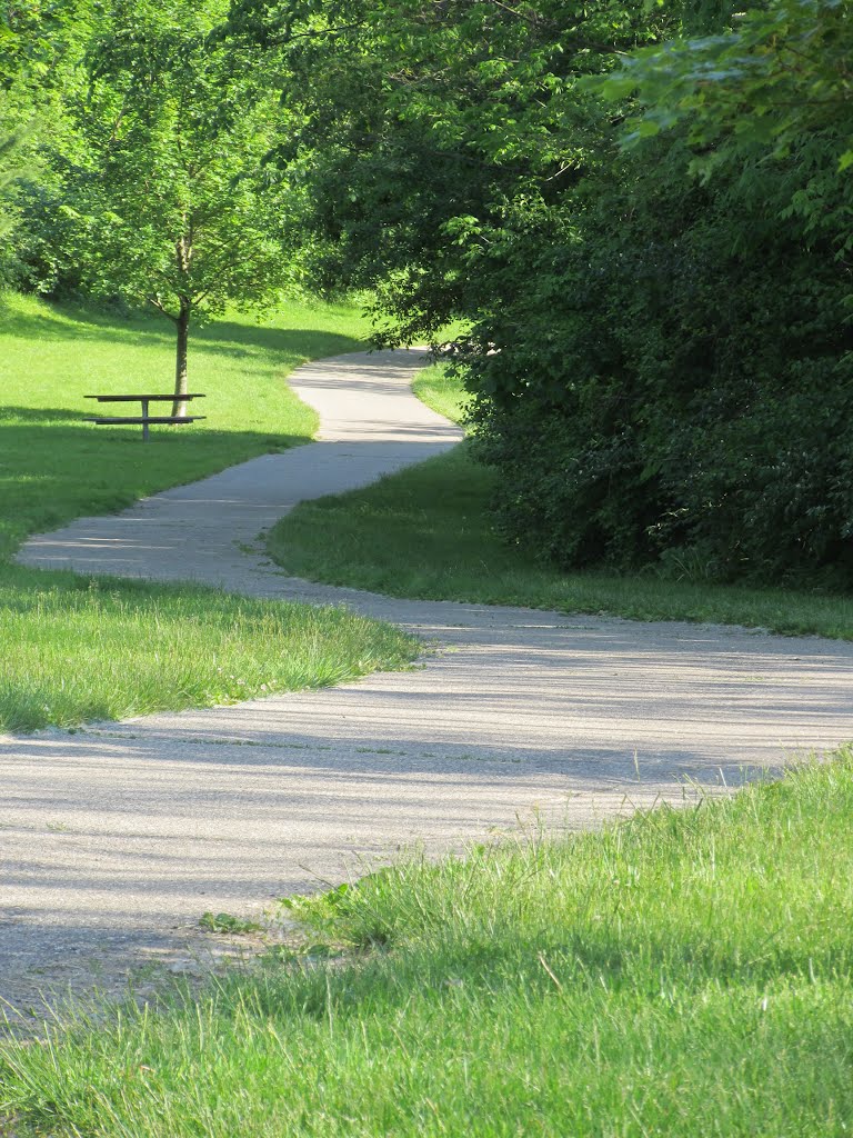 Paved trail in Placid Way Park, Ann Arbor