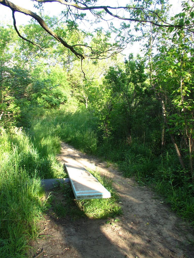 Seesaw trick on the Olson Park mountain bike trail