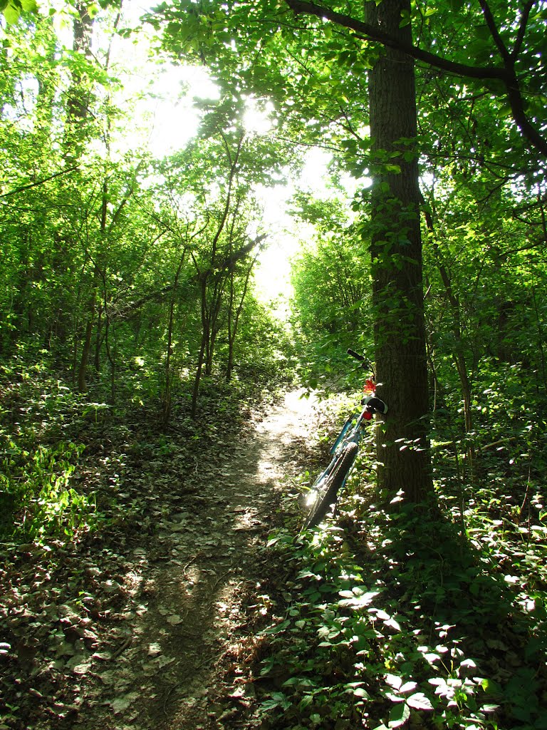Exiting from the wood part of the Olson Park mountain bike trail