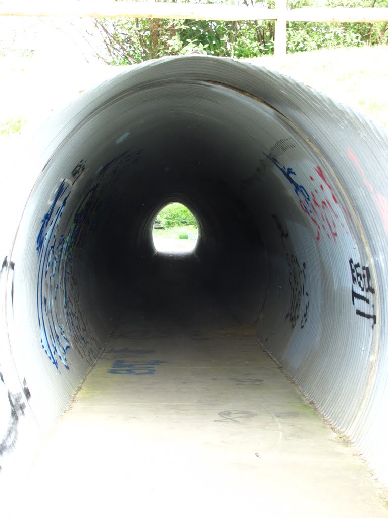 Trail tunnel under Tuebingen Pkwy