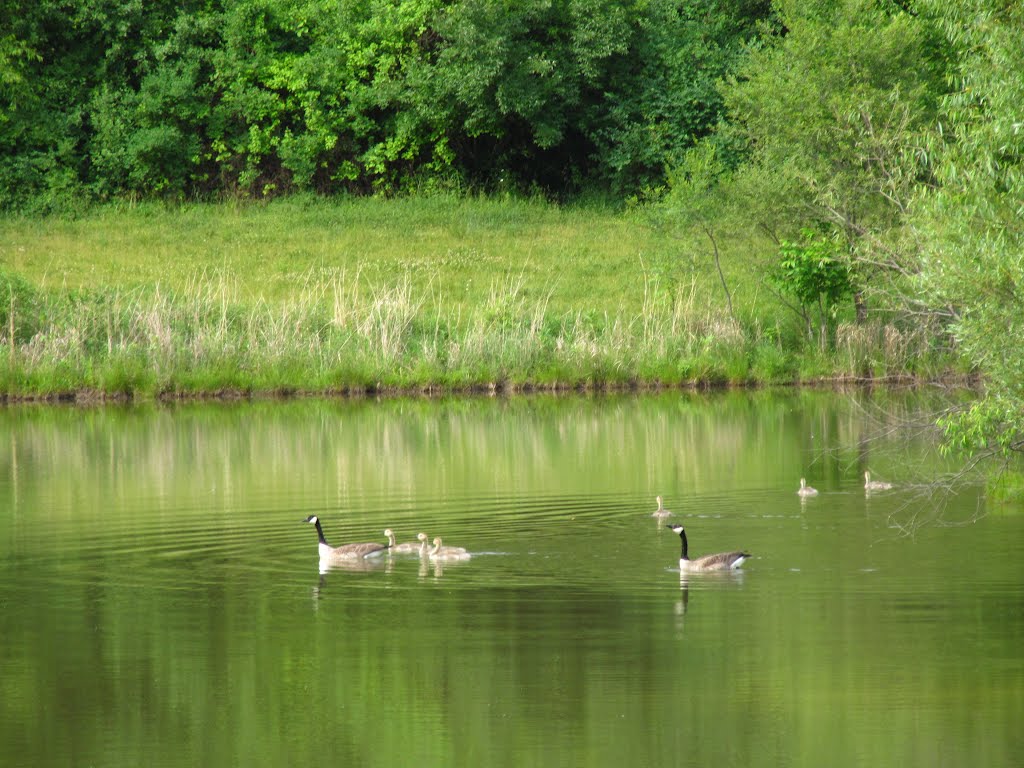 Some are not following mom