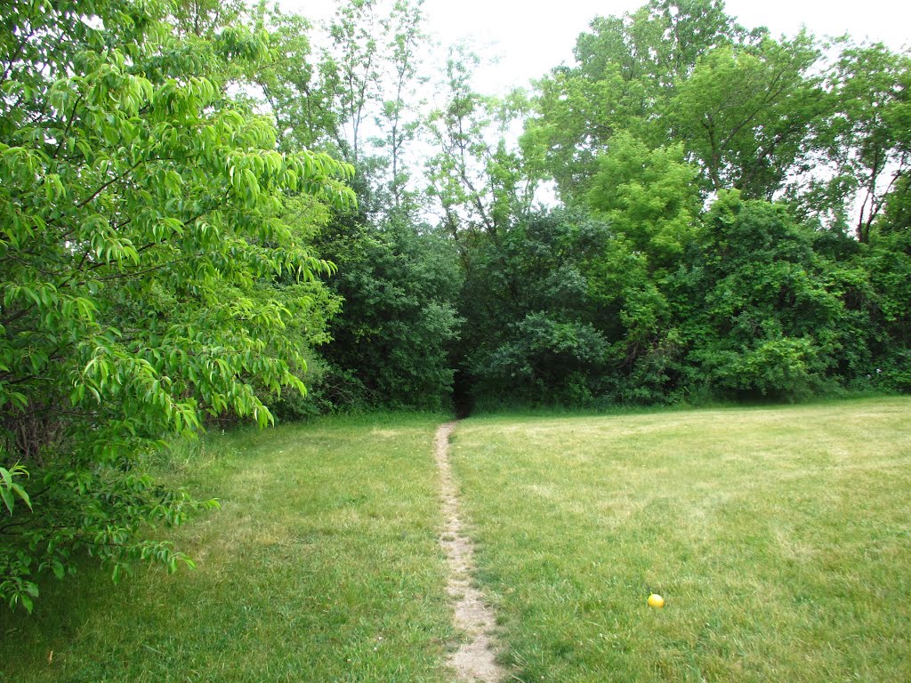 Trail going to the nature area in Leslie Park, Ann Arbor