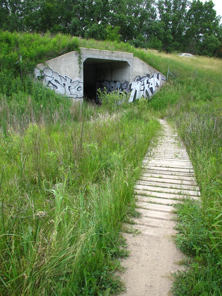 Tunnel under S23 M14 connecting parks