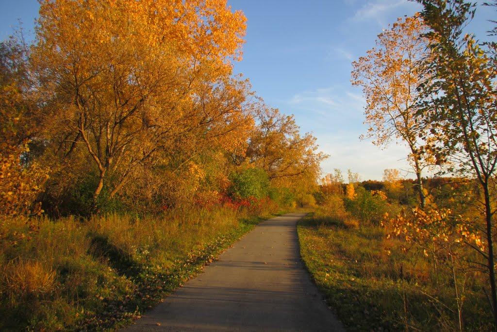 Autumn color in Olson Park