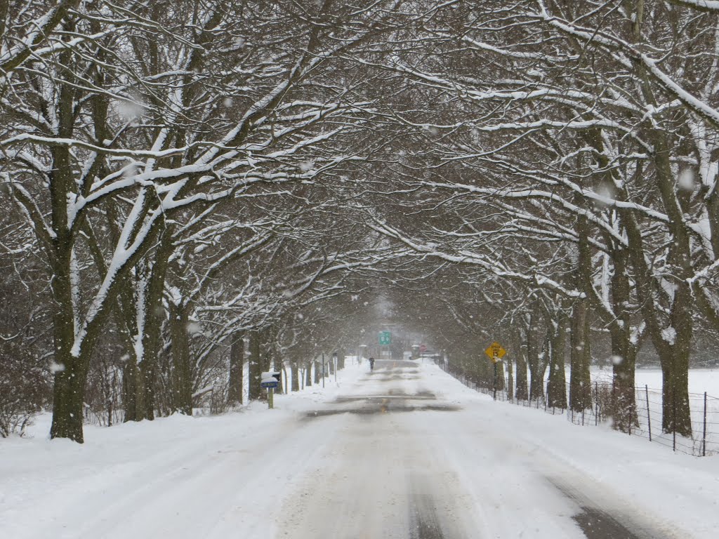 Barton Shore Drive in winter