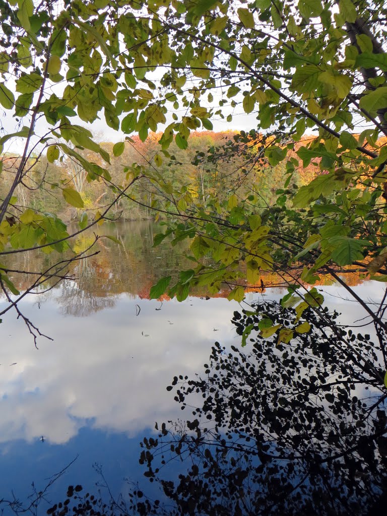 Argo Pond