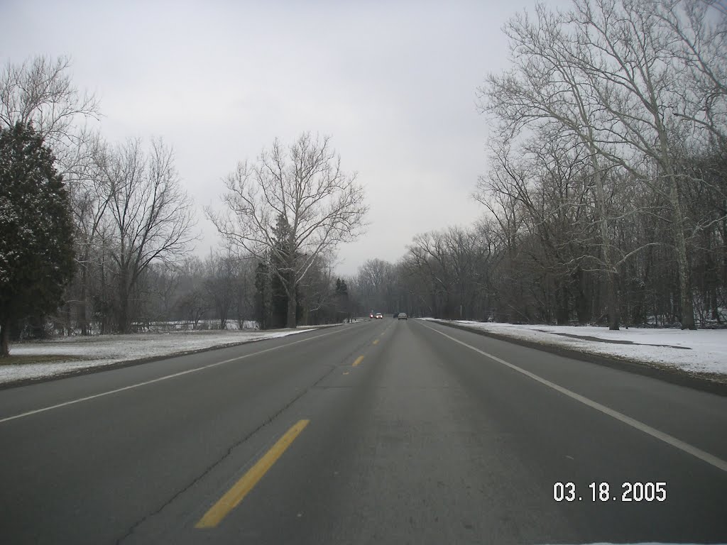 Hines Dr.