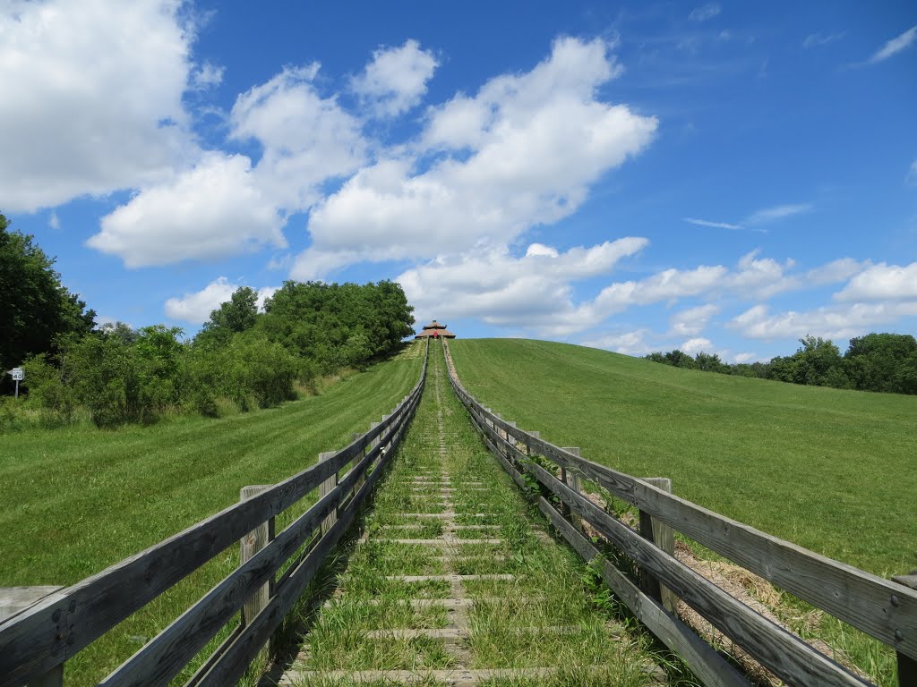 The Narrow Way to the Heaven (Hines Park, Westland, MI)
