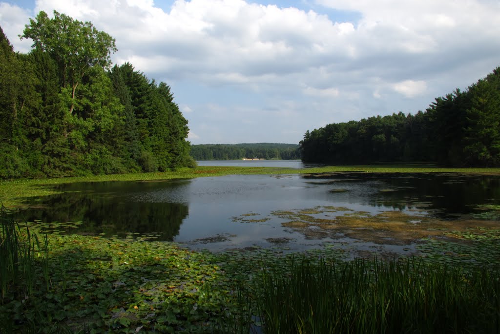 Phipps Lake