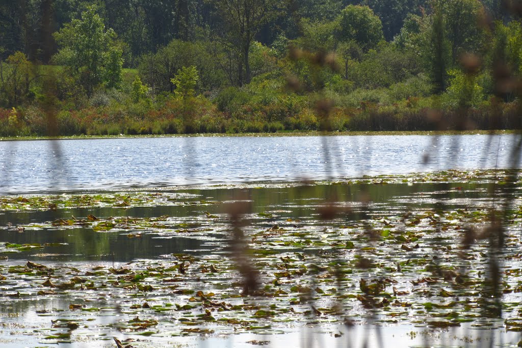 Hartwig Lake