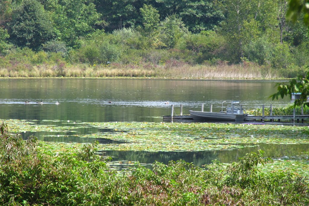 Sawmill Lake