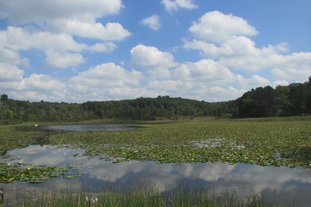 Algoe Lake viewed from the access site
