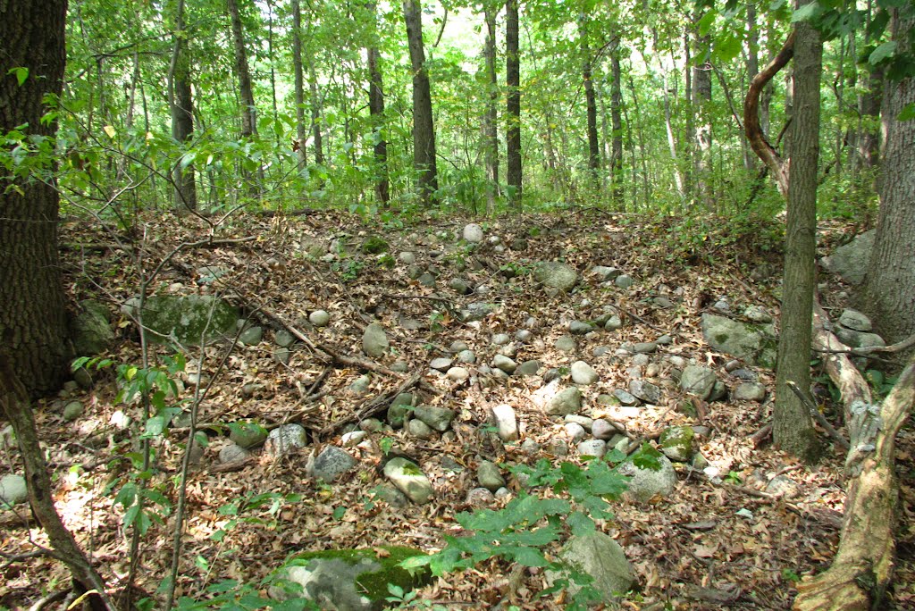 Probably some archaeological stuff