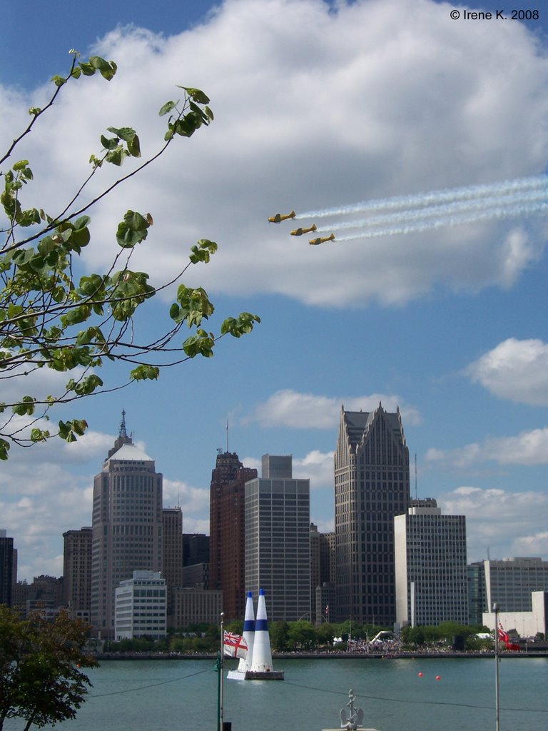 Red Bull Air Race, Detroit-Windsor, 2008