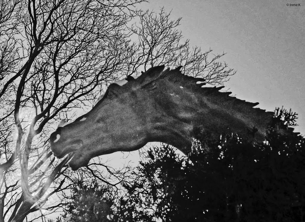 "Racing Horses" by Derrick Stephen Hudson - Odette Sculpture Park, Windsor, ON, Canada