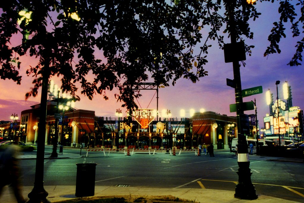 COMERICA PARK