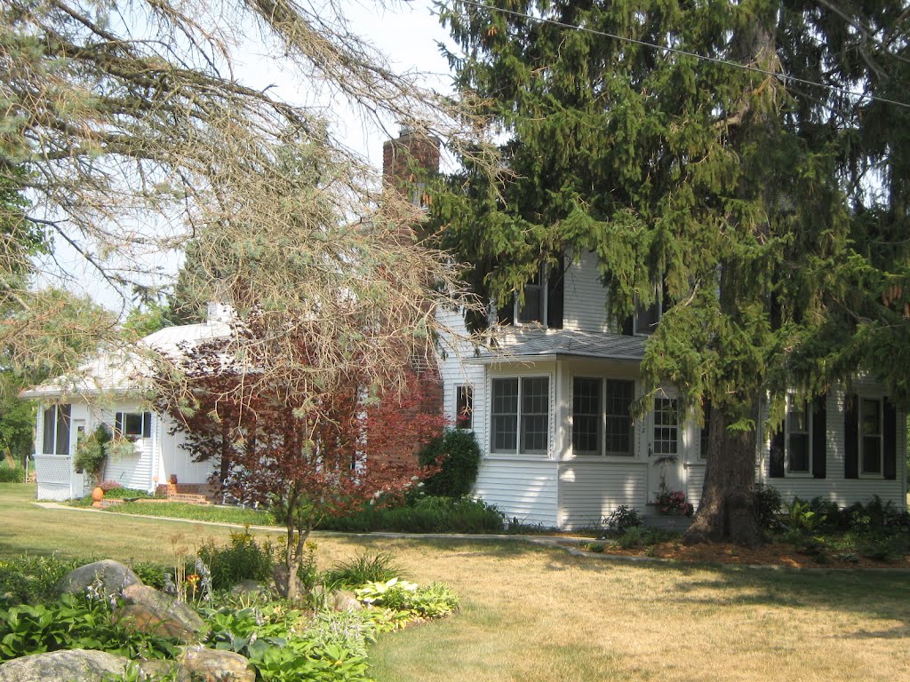 Shingle Roof in Jackson, Michigan