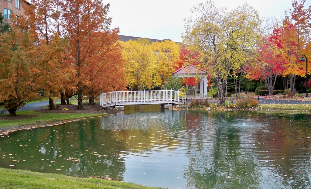 Fall at HFV