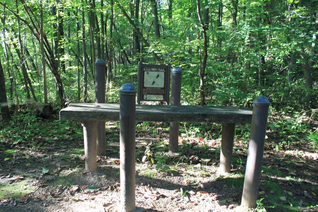Fitness trail station, North Bay Park, 1001 Huron Street, Ypsilanti Township, Michigan
