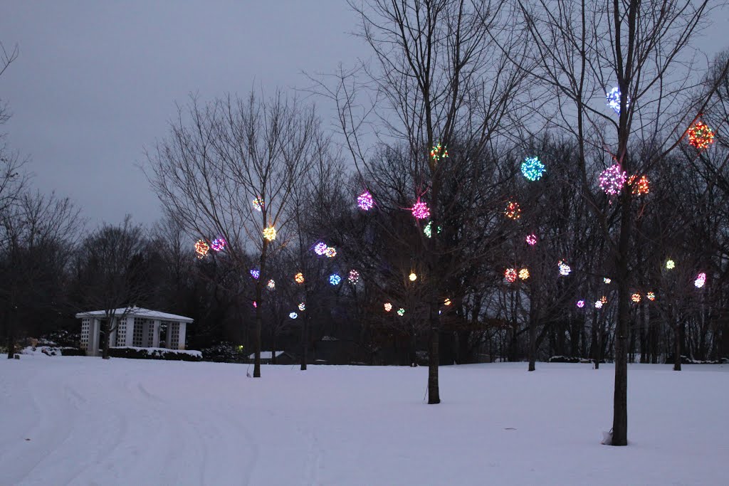 Holiday Lighting at Whispering Pines Pet Cemetery, Ypsilanti, Michigan