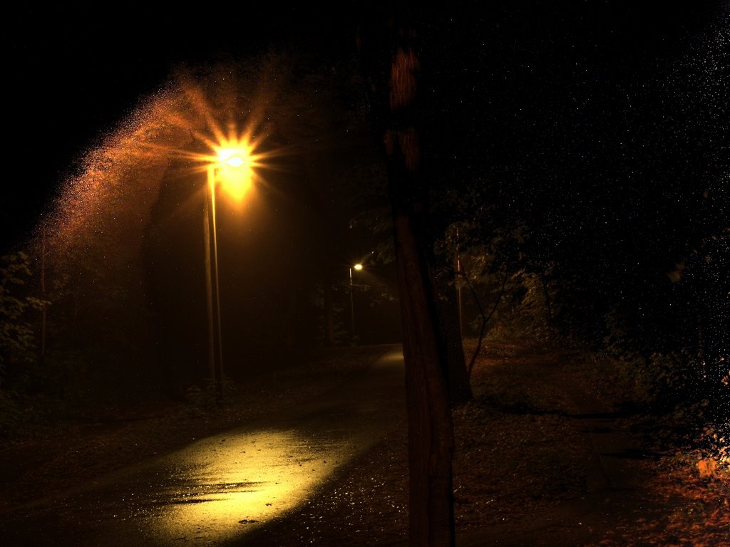 Sodium vapor in the early-morning fog