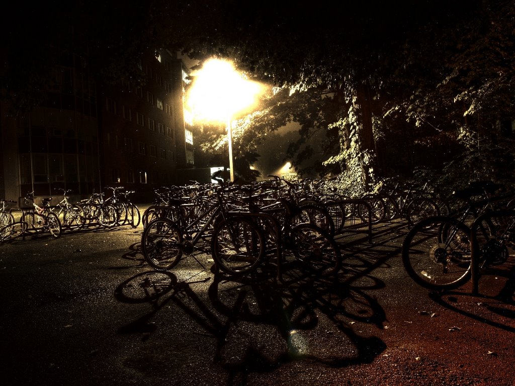 Shadows and silence