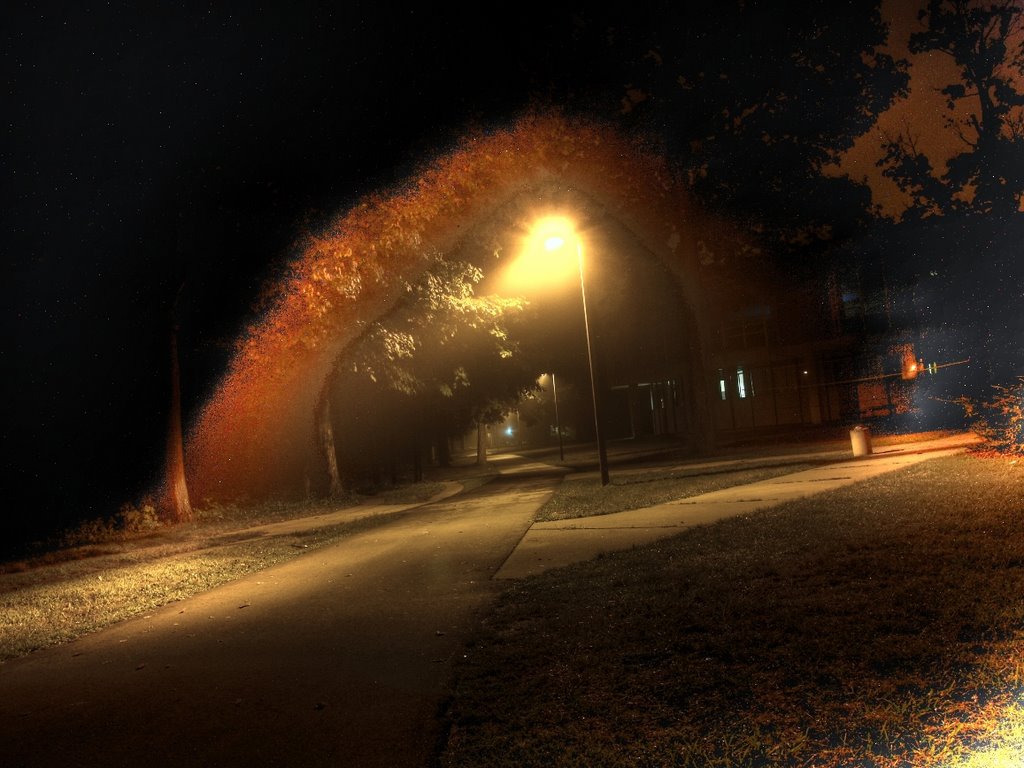 Sodium vapor