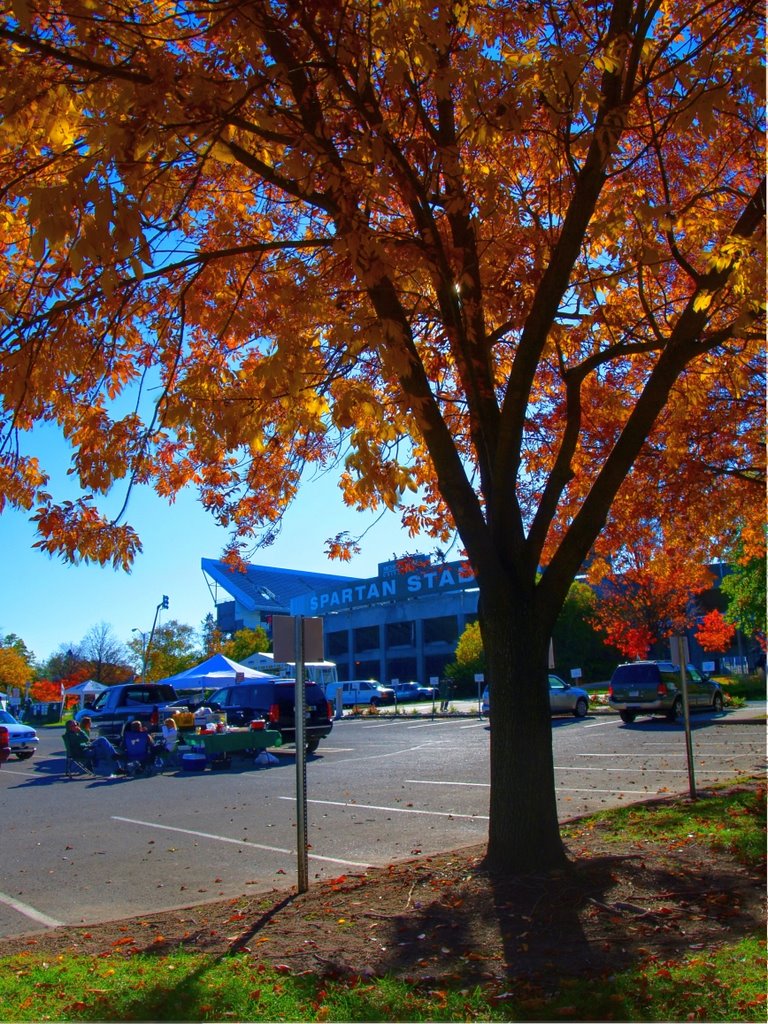 Spartan stadium in the background
