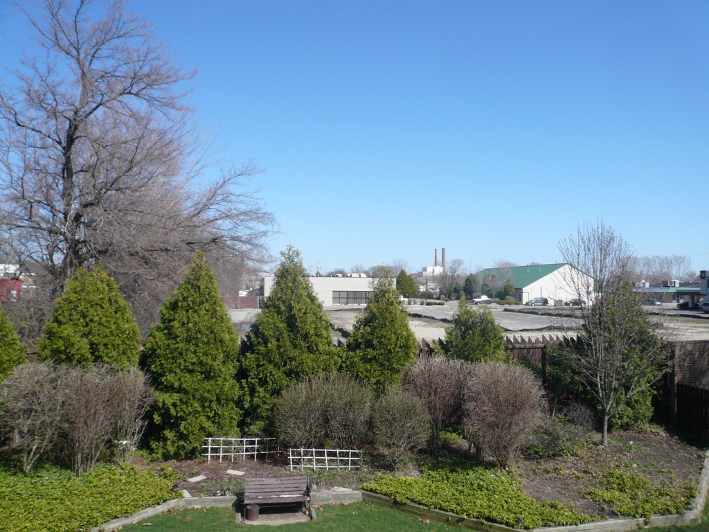 Arbor Forest Apartment to MSU
