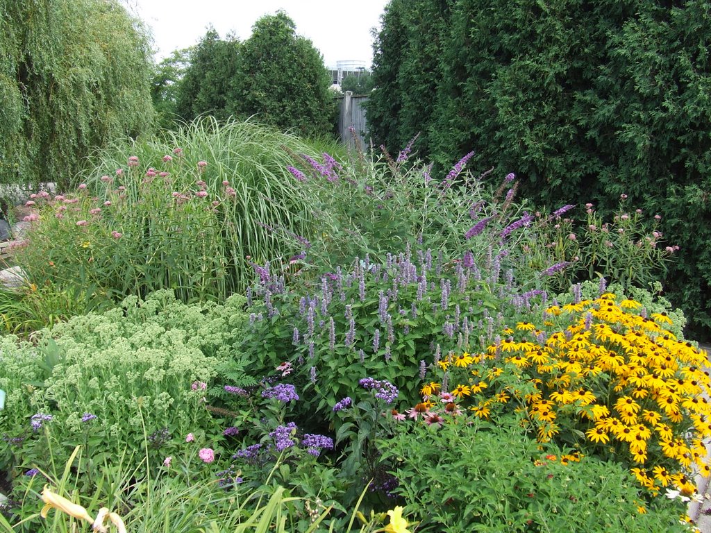 MSU Childrens Gardens