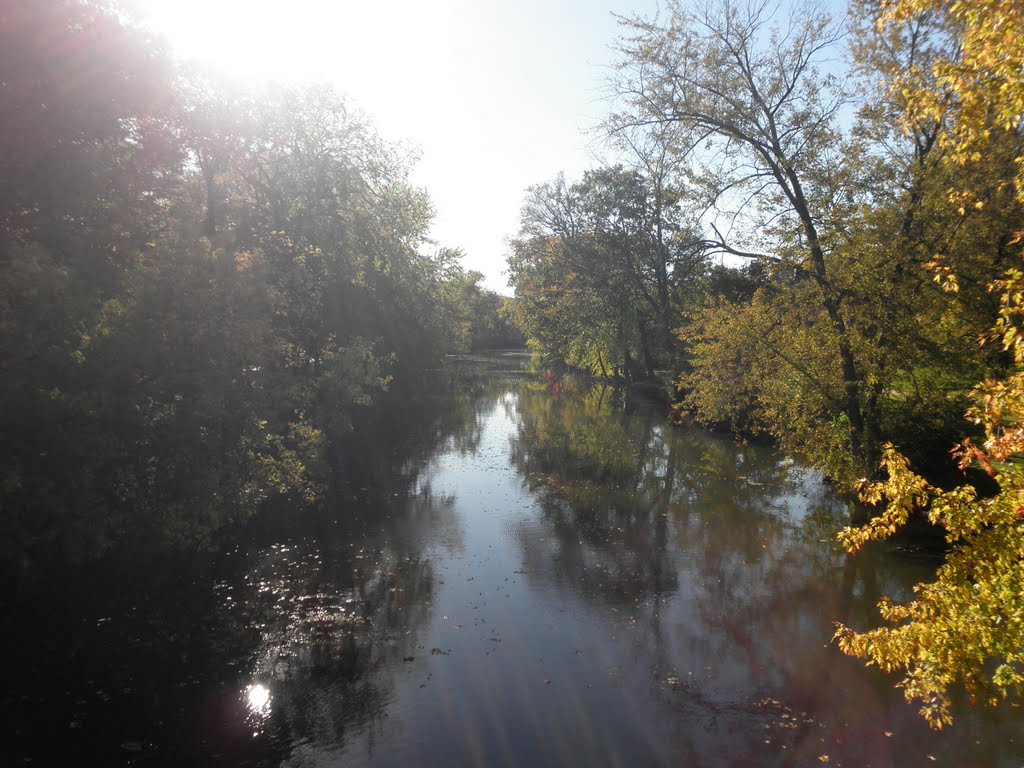 Red Cedar River