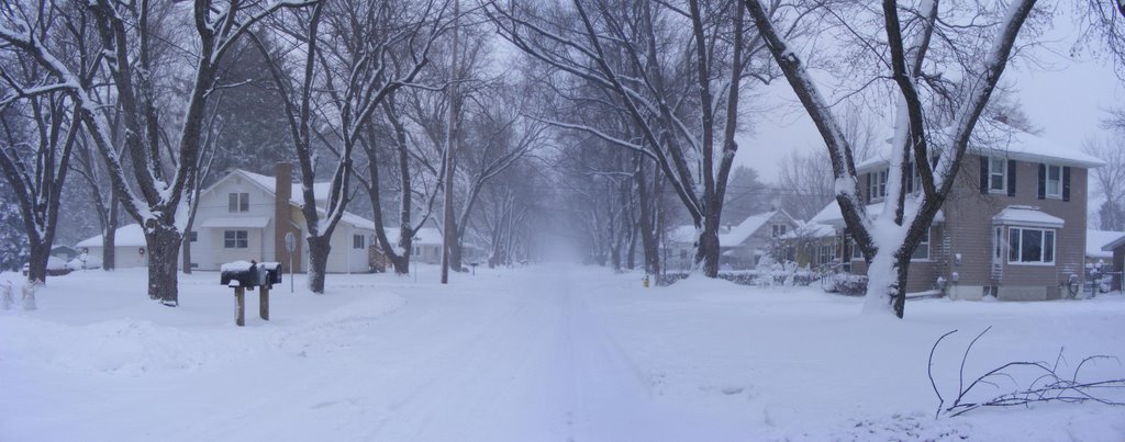 First Good Snow - 20081210, Kalamazoo, MI