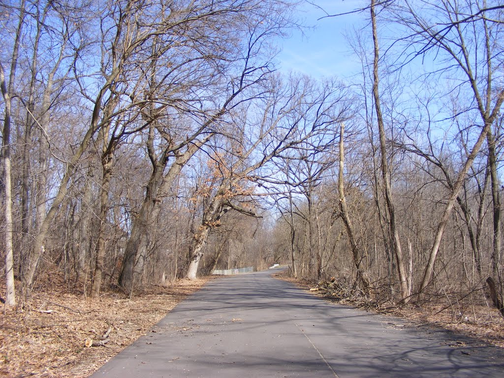 "Grand Old Oak" - Spring view of Spring Valley Park, Kalamazoo, MI