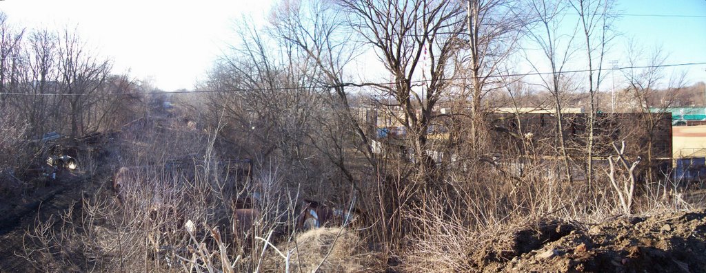 Former CK&S ROW in Kalamazoo, MI - Looking West