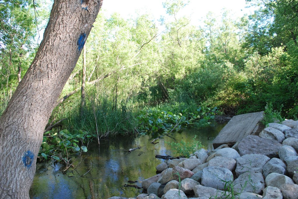 Clam River