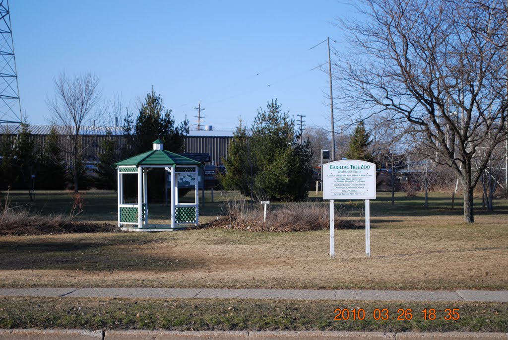 Cadillac Gazebo